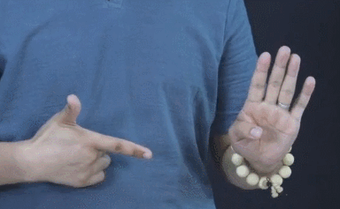 1.gif