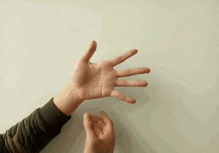 3.gif